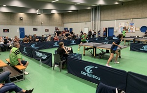 Reprise du championnat par équipes