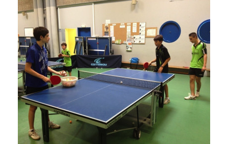 Compte rendu stage de rentrée 2013