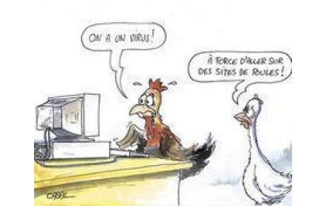 Poules de 2ème phase