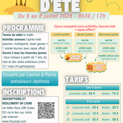 Stage d'été 2026